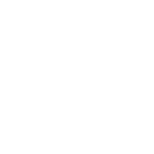 V4